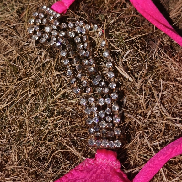 Custom Made Crystal Pink Bikini - Picture 5 of 12